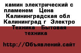 камин электрический с пламенем › Цена ­ 12 000 - Калининградская обл., Калининград г. Электро-Техника » Бытовая техника   